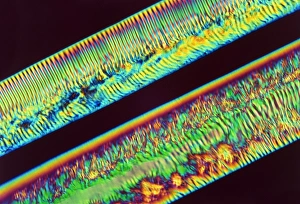 Polarised light micrograph of polymer filaments Polarised light micrograph of polymer filaments