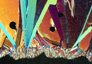 Polarised LM of crystals of progesterone Polarised LM of crystals of progesterone