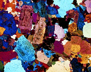 Polarised LM of grain diorite in thin section Polarised LM of grain diorite in thin section
