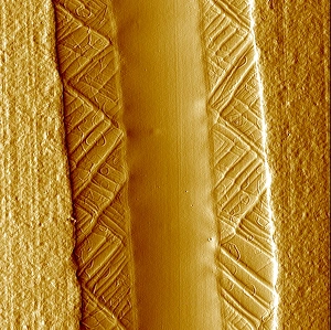 Polymer films, AFM Polymer films, AFM