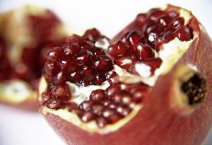 Punica Granatum Prints: Pomegranate