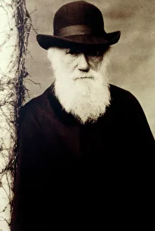 Portrait of Charles Darwin, British naturalist Portrait of Charles Darwin, British naturalist