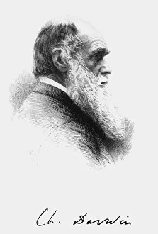 Portrait of English naturalist Charles Darwin Portrait of English naturalist Charles Darwin
