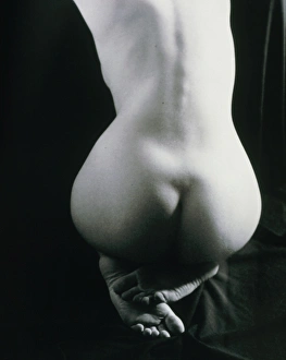 Posterior view of the buttocks of a woman Posterior view of the buttocks of a woman
