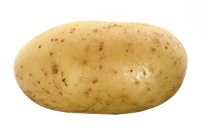 Potato Nutrition Prints: Potato