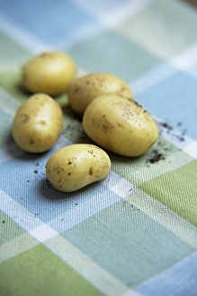 New Potatoes Prints: Potatoes
