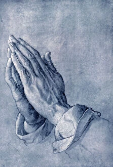 Pop art gallery Collection: Praying hands, art by Durer