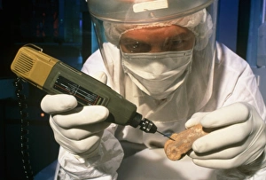 Preparing neanderthal bones for DNA extraction Preparing neanderthal bones for DNA extraction