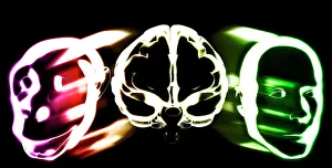Prints of Primate brain evolution. Conceptual computer artwork of a brain (centre) with a monkey head (left) and a human head (right), representing the evolution of primate brains Images Dated 2005 January: Primate Brain Evolution Print