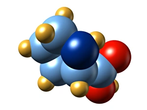 Amino Acid Structure Prints: Proline, molecular model