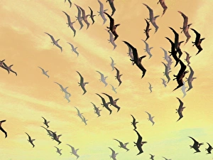 Cretaceous Period Creatures Prints: Pterosaurs