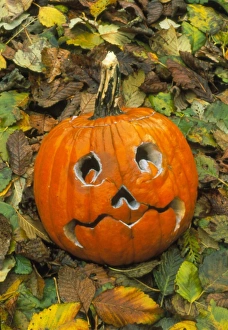 Pumpkin cut into Halloween lantern Pumpkin cut into Halloween lantern