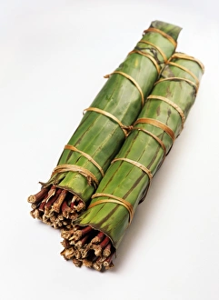 Prints of Qat. Stems of the Ethiopian Qat or Khat plant (Catha edulis). The stems have been wrapped in banana leaves to preserve their freshness Images Dated 2004 May: Ethiopian Qat Stems Print