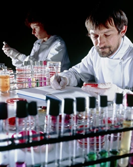 Quality control on media to grow microorganisms Quality control on media to grow microorganisms