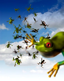Images Dated 12th March 2009: Raining Frogs Print