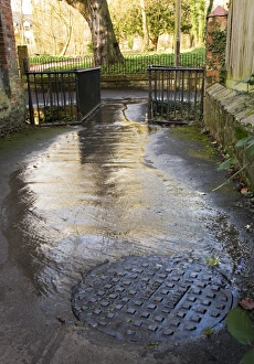Prints of Raw sewage overflowing from an access cover (manhole) for a public sewer, in Oxfordshire, UK. The sewage is flowing down a footpath to reach a chalk stream (not seen) Images Dated 2010 April: Raw sewage overflowing from a manhole in Oxfordshire, UK