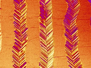 Images Dated 9th March 2007: Record surface Print, Coloured SEM of grooved plastic