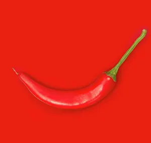 Red Chilli Pepper Print