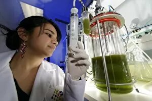 Algae Energy Collection: Researcher with algae fermenter