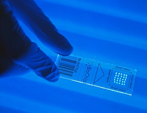 Researcher holds DNA NutriChip for food tests Researcher holds DNA NutriChip for food tests