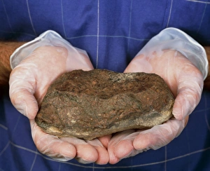 Researcher holds a meteorite found in Arizona, USA Researcher holds a meteorite found in Arizona, USA