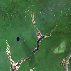 River Congo in forest River Congo in forest