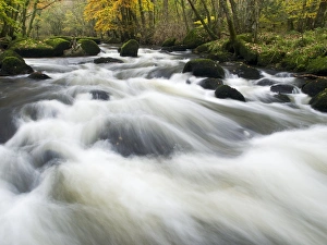 Devon UK Landscape Prints: River Teign in autumn, Devon