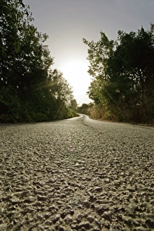 Road Surface Print, Alhambra, Spain