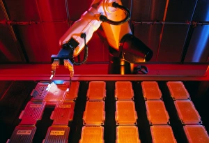 Robot arm picks tray of DNA-containing bacteria Robot arm picks tray of DNA-containing bacteria