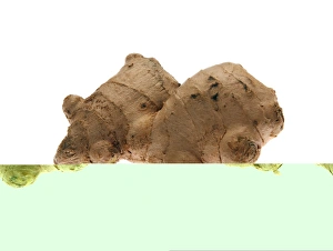 Zingiber Officinale Prints: Root ginger C014 / 1250