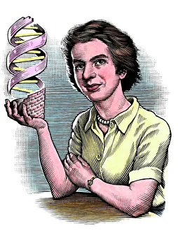 Rosalind Franklin, British chemist Rosalind Franklin, British chemist