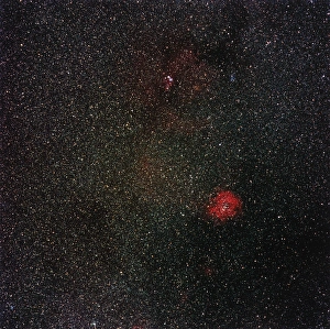 Optical Astronomy Images Prints: Rosette Nebula