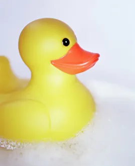Images Dated 2003: Rubber Duck Print in Foamy Bath