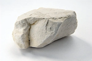 Sedimentary Rock Formation Prints: Sample of chalk