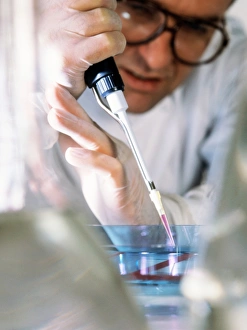 Samples of DNA being loaded onto an agarose gel Samples of DNA being loaded onto an agarose gel