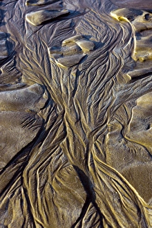 Devon Coastline Photos Prints: Sand patterns at low tide