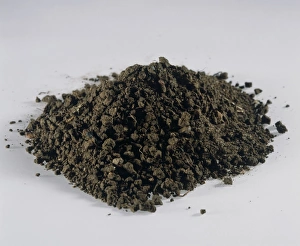 Prints of Sandy soil. Soils with a high proportion of sand are typically light brown in colour and loose in texture Images Dated 2003 November: Sandy Soil Print