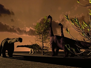 Sauropod dinosaurs Sauropod dinosaurs