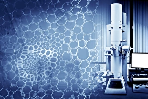 Scanning Electron Microscope Prints: Scanning electron microscope, artwork C014 / 4625