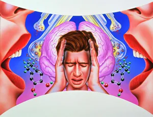 Schizophrenia Schizophrenia