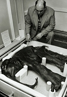 Scientist examining carcass of baby mammoth Scientist examining carcass of baby mammoth