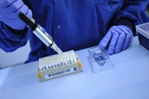Scientist In Lab Coat Prints: Scientist using multipipette