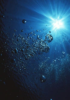 Scuba Bubbles Print - Air bubbles underwater