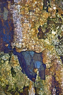 Geological Formations Prints: Sedimentary rocks