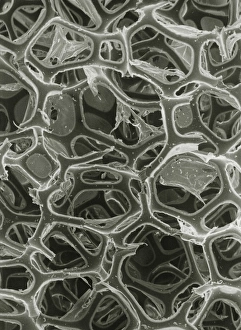 SEM of open-cell polyurethane plastic foam SEM of open-cell polyurethane plastic foam