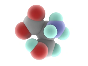 Serine Molecule Print, Colour-Encoded 3D Model