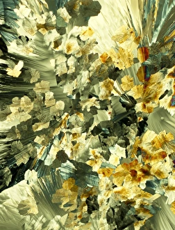 Serotonin Crystals Print, Polarised Light Micrograph