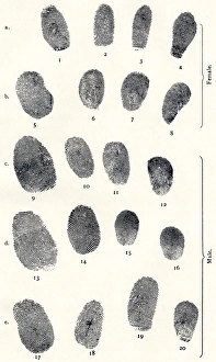 Prints of Sets of fingerprints, artwork from Dr Henry Fauldss Guide to Finger-print Identification, 1905. Faulds, a Scottish scientist, was an early developer of fingerprint analysis Images Dated 2006 October: Early fingerprint print set from Dr Henry Faulds' 1905 guide