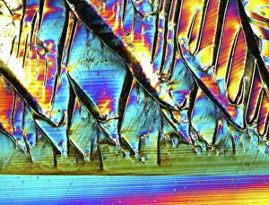 Images Dated 2013: Silicon Crystal Print, Poly-Crystal Structure