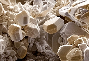 Prints of Silver crystals. Coloured scanning electron micrograph (SEM) of crystals of silver (symbol Ag, atomic number 47). Silver is a lustrous, precious metal which has been known since pre-history Images Dated 2005 March: Silver Crystals Print (x1380, 5x7cm)
